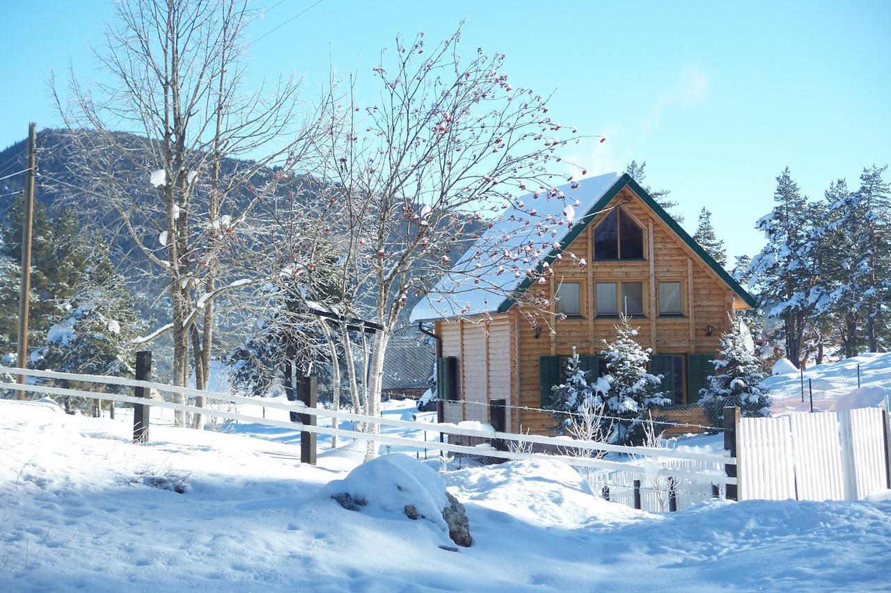 Appartamento Kuca U Borju - House In Pines Žabljak Esterno foto