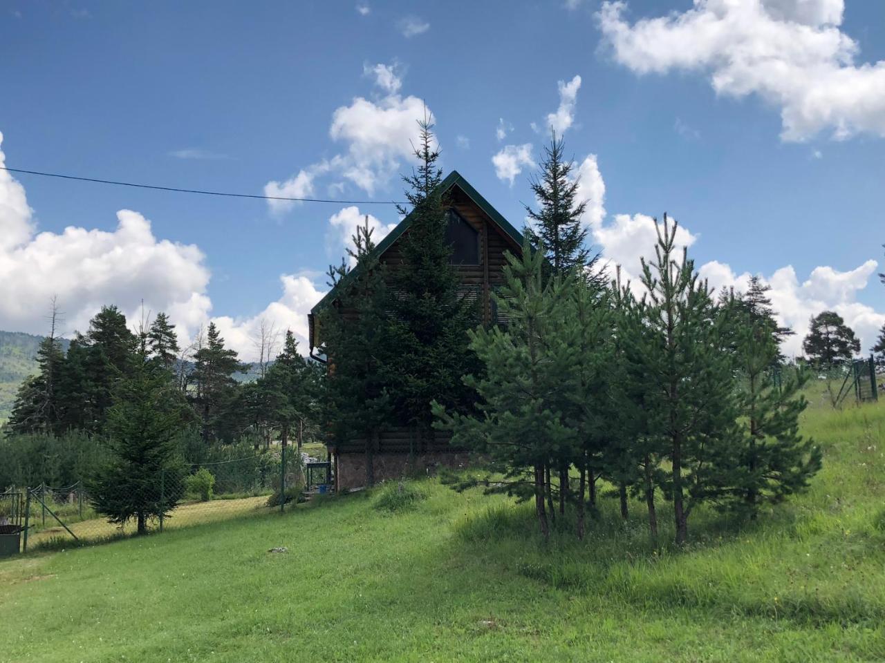 Appartamento Kuca U Borju - House In Pines Žabljak Esterno foto